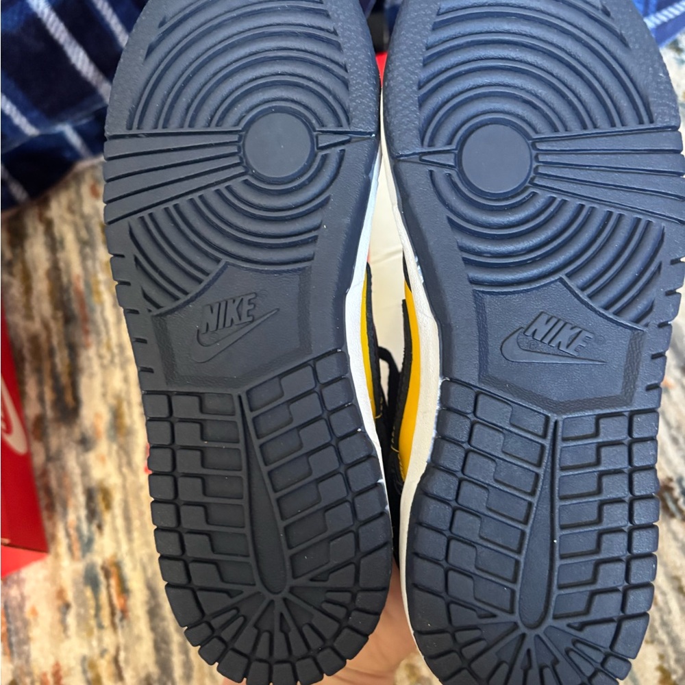 Nike Michigan Dunks - Picture 5 of 6
